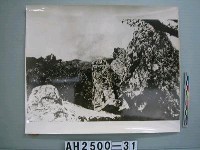 藏品(東天目奇石照片)的圖片